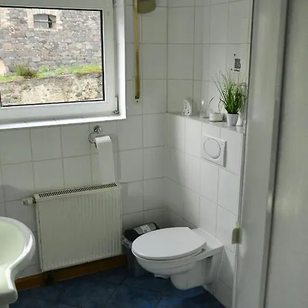 Auf Dem Pferdehof Schotten