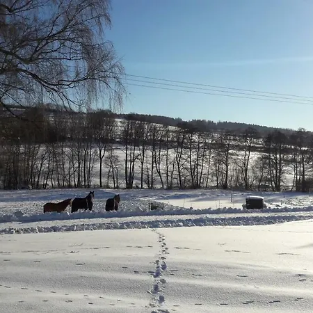 Auf Dem Pferdehof Apartment *
