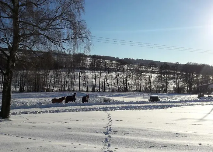 Auf Dem Pferdehof Апартаменты *